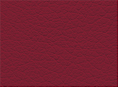 ethnicE660_neue_Struktur.jpg