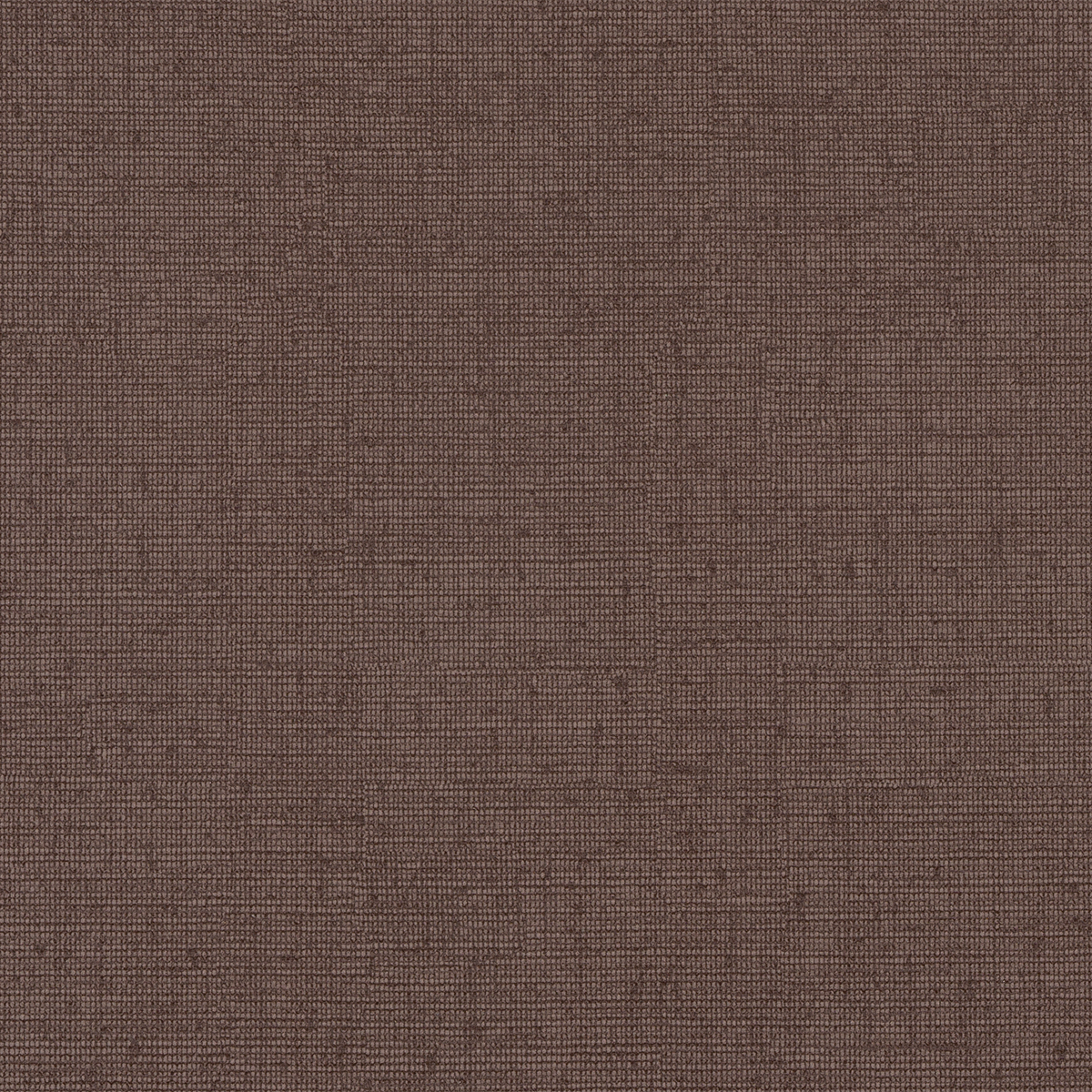 TN82 CACAO