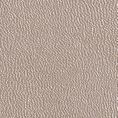 CN31 metallic beige