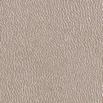 CN31 metallic beige
