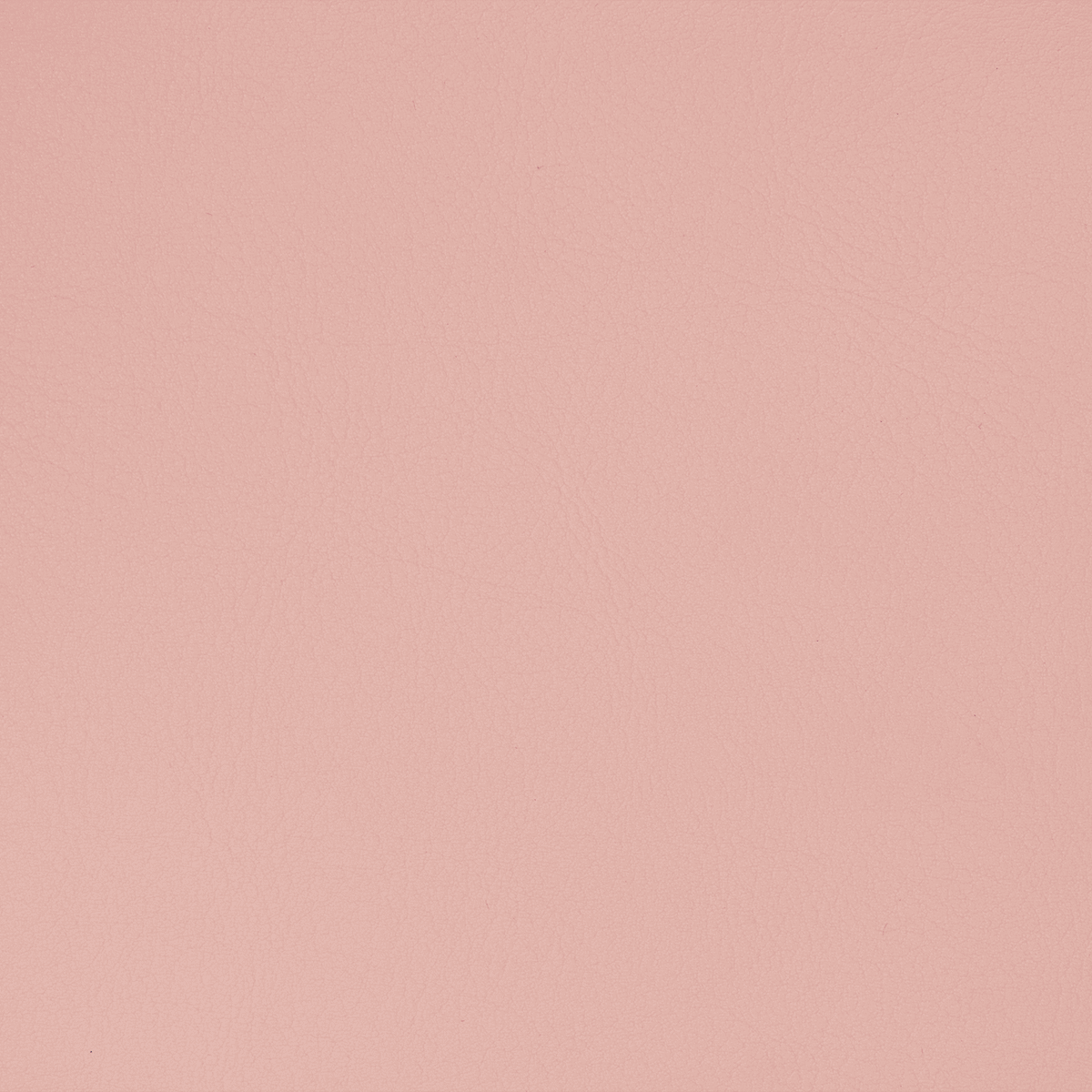 TC29 ROSE