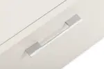DINO SILVER