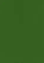EV78 dark moss