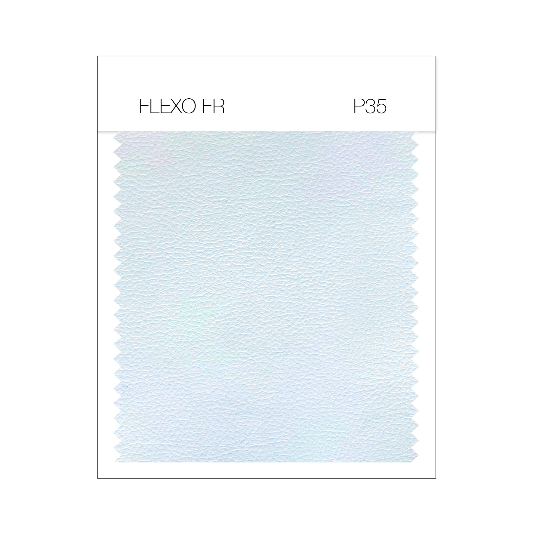 FLEXO FR P35.jpg