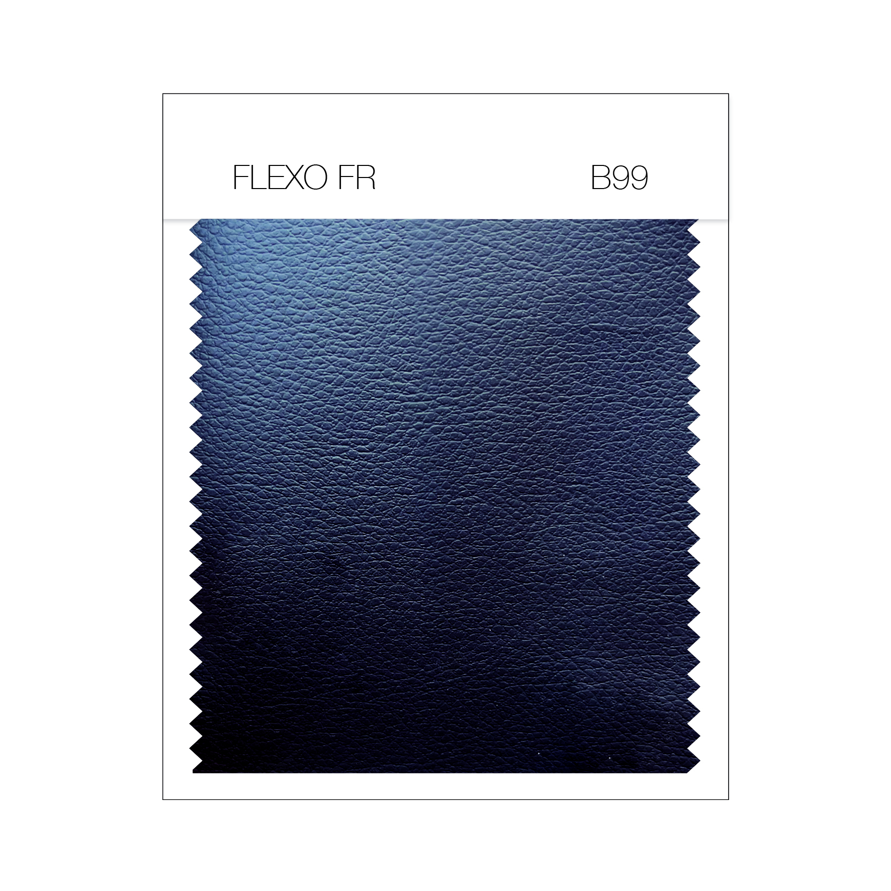 FLEXO FR B99.jpg