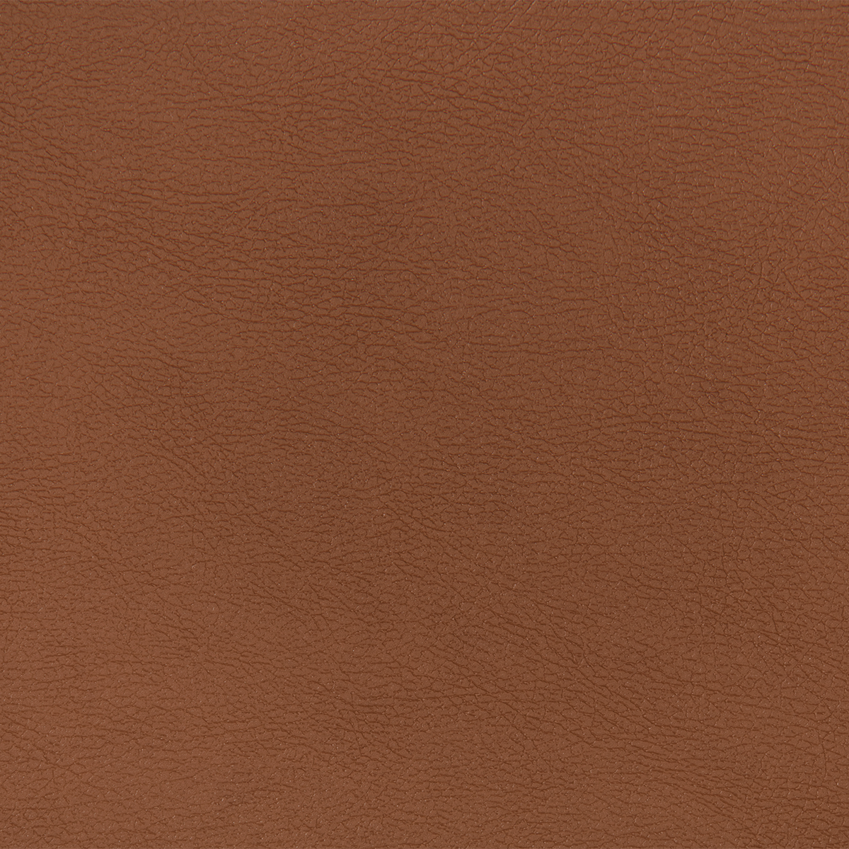 PT83 COGNAC