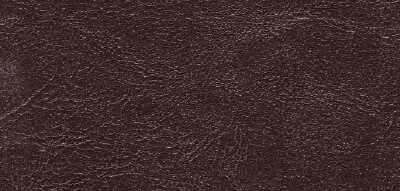 VT2 dark brown
