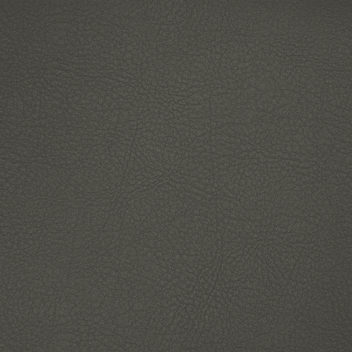 TC21 GRAPHITE