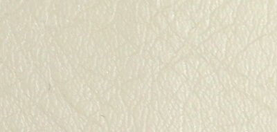 NL2 ivory