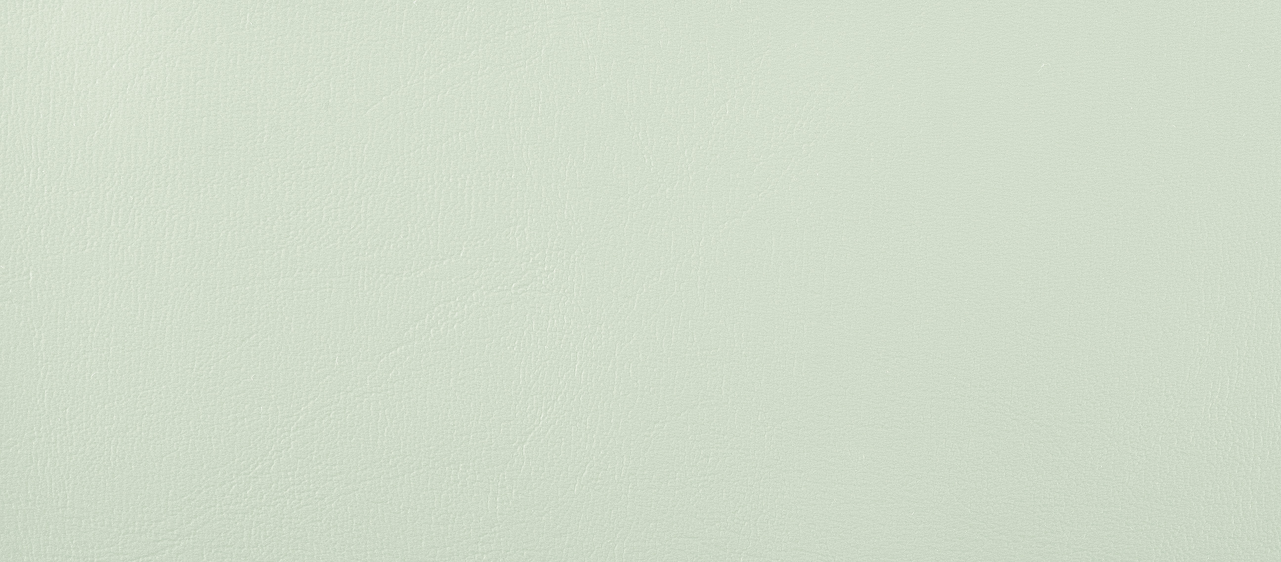 Compact_mint_C450.jpg