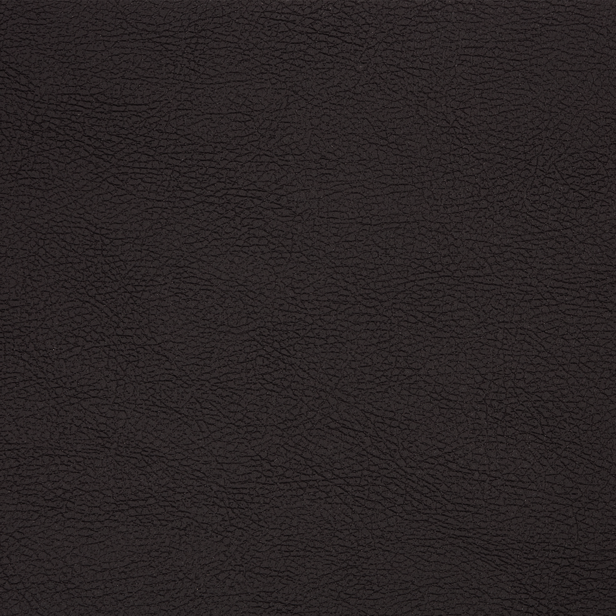PT89 BLACK
