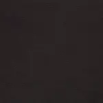 PT89 BLACK