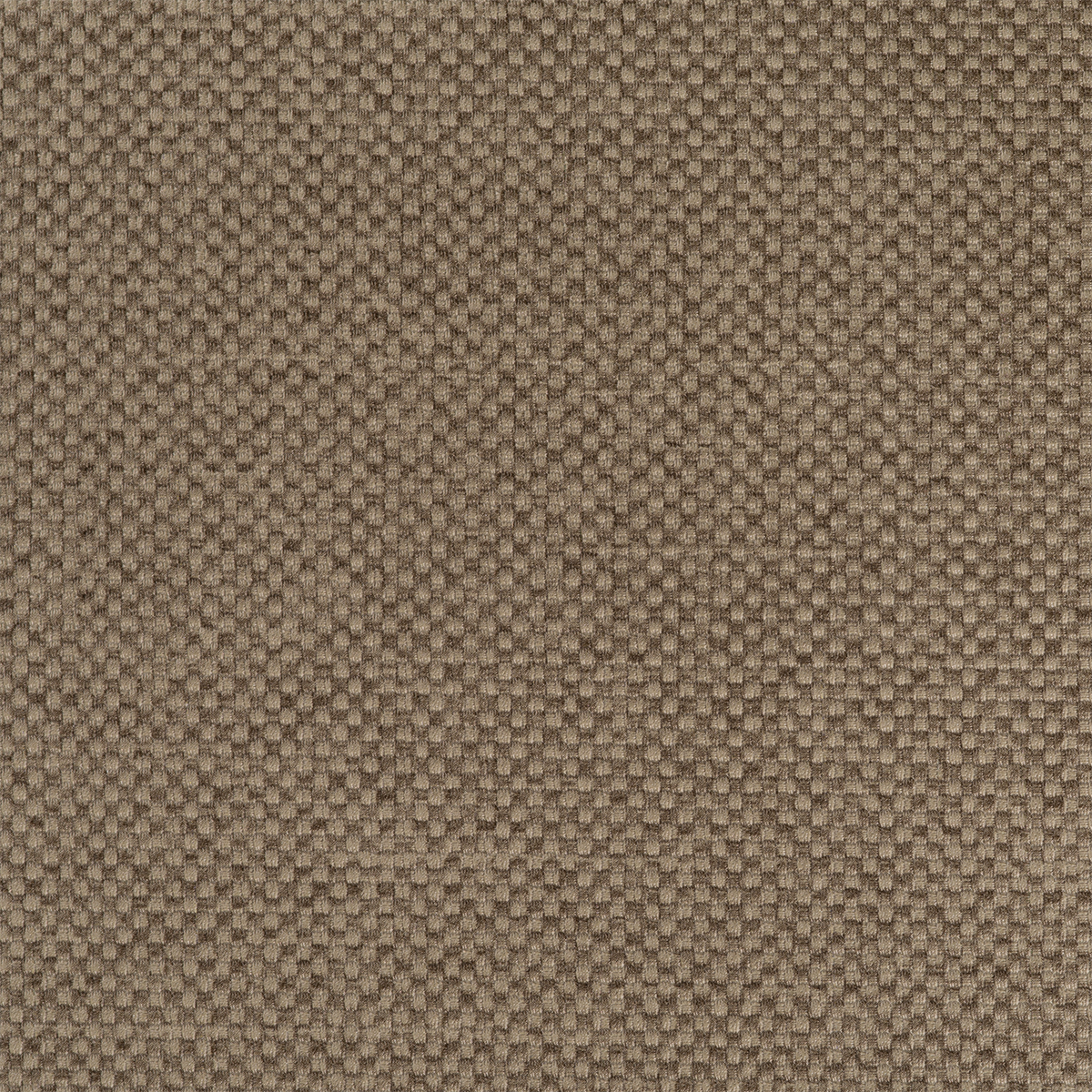 TN71 TRUFFLE