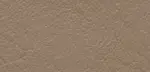 NL8 light brown