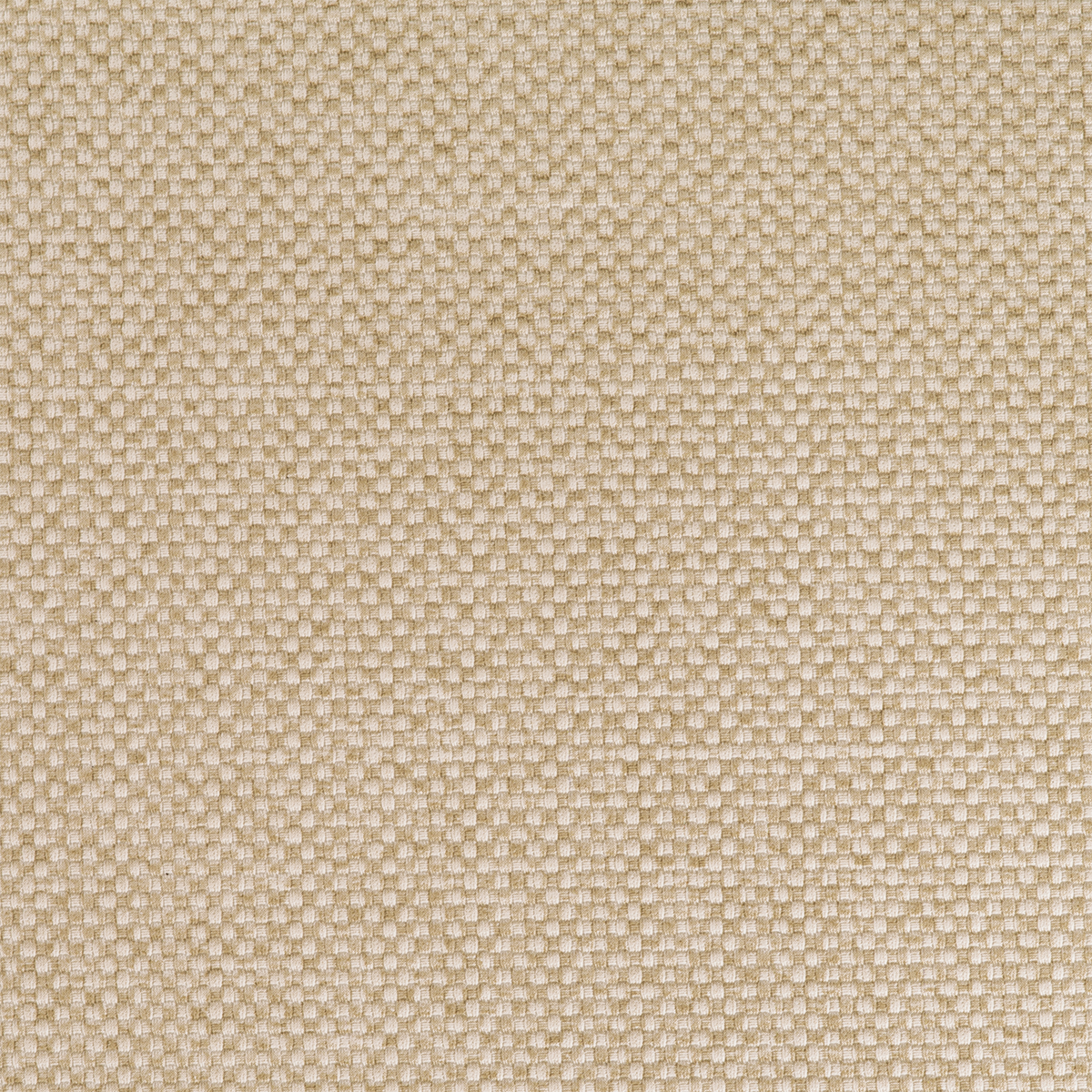 TN70 OAK
