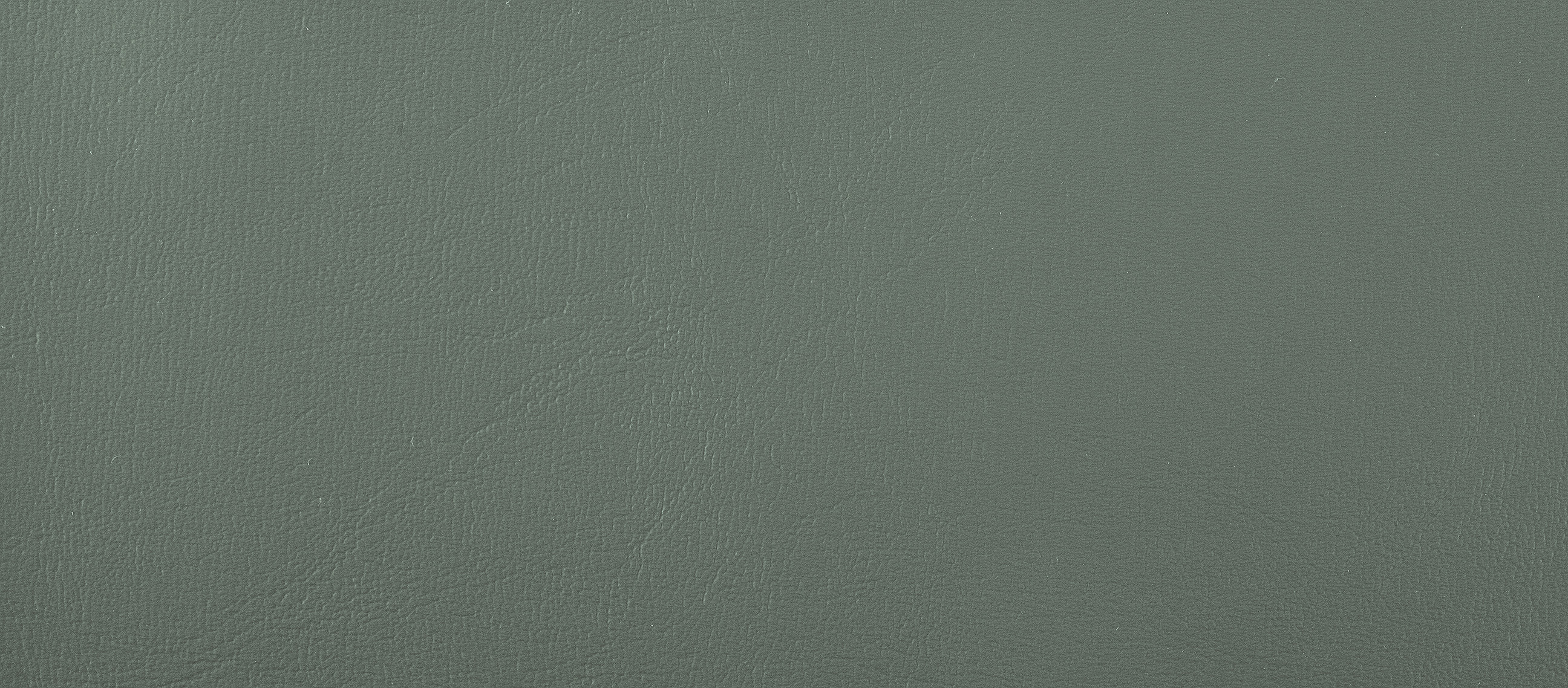 Compact_dgruen_C435.jpg