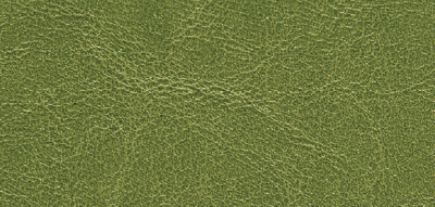 VT6 green