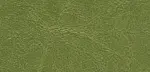 VT6 green