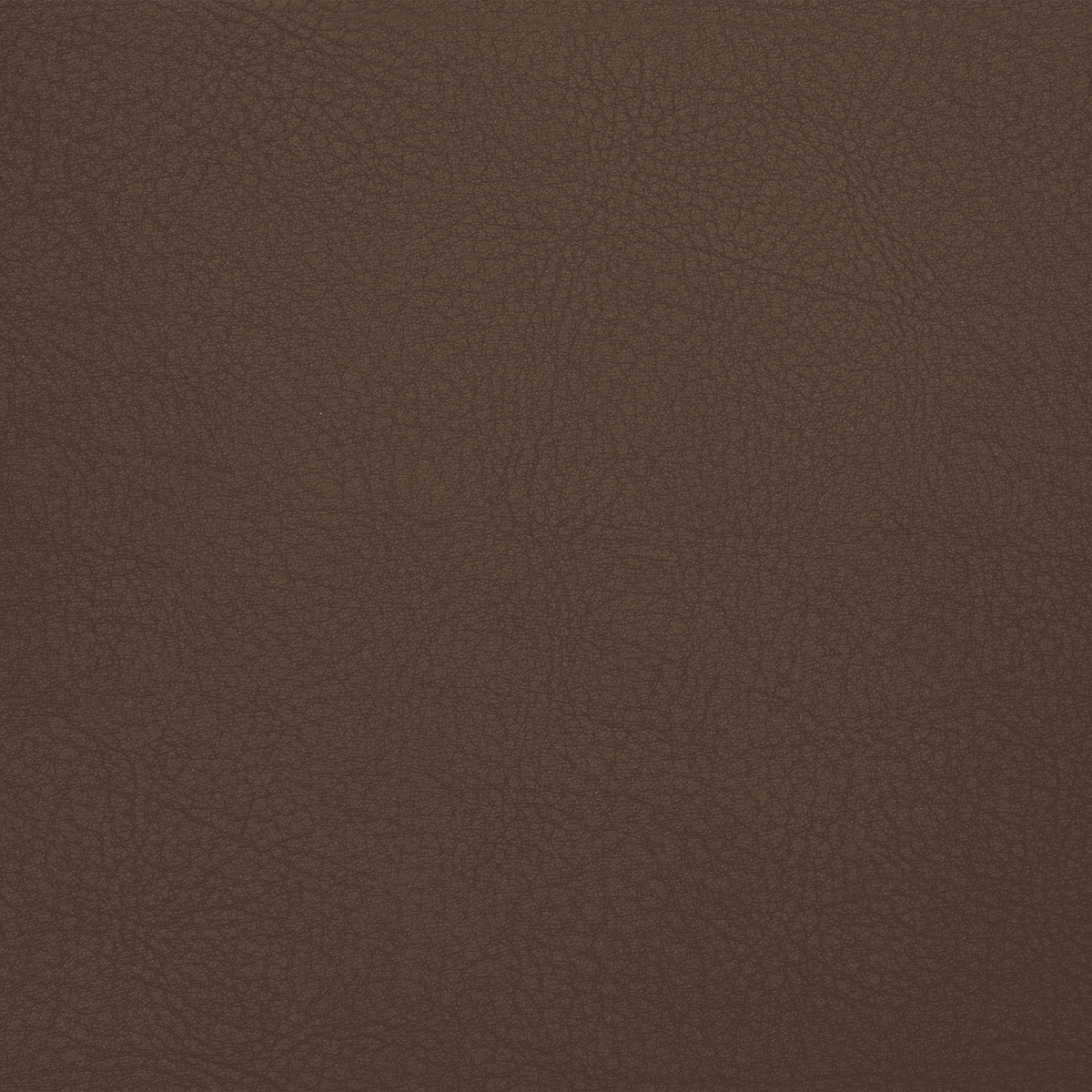 TC26 PRALINE