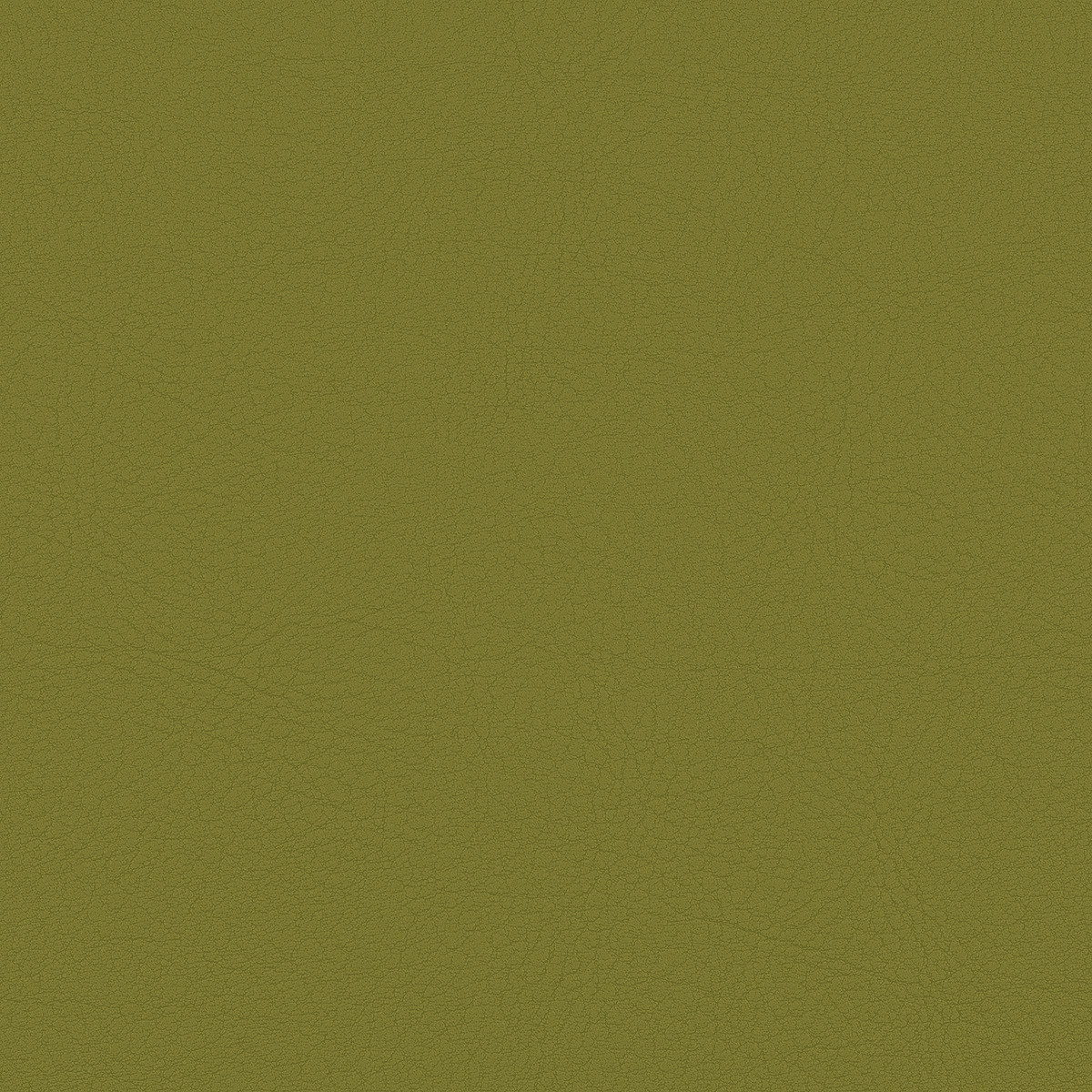 TC31 OLIVE