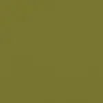 TC31 OLIVE