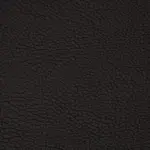 PT70 BLACK